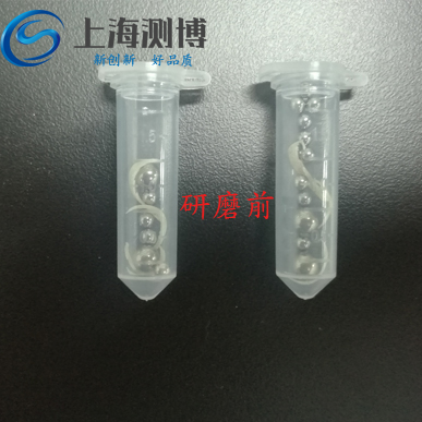 指甲是怎樣利用冷凍研磨儀來(lái)提取DNA的？