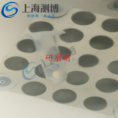 多樣品組織研磨儀能提取玉米DNA嗎？其研磨效果如何？